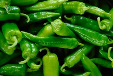 agriculture-chili-chili-peppers-2893540